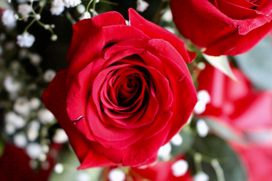 Blumenstrauß mit Rosen und Grün